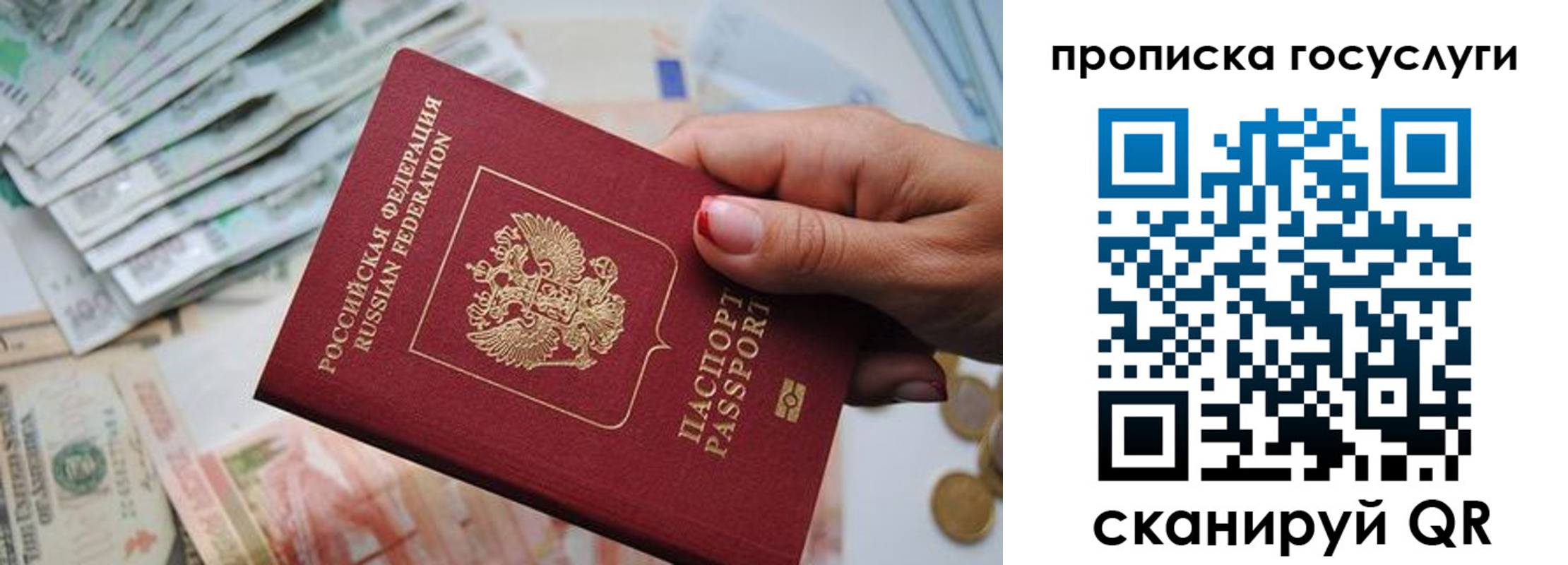 прописка поиск в Карасуке